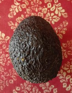 A ripe avocado
