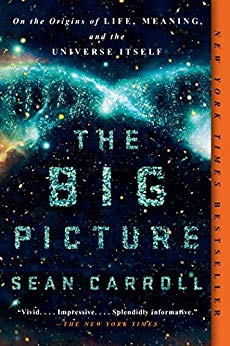 Book cover for The Big Picture by Sean Carroll