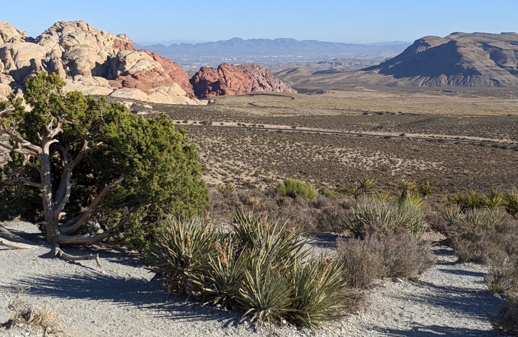 Lookout Point in Red Rock Canyon