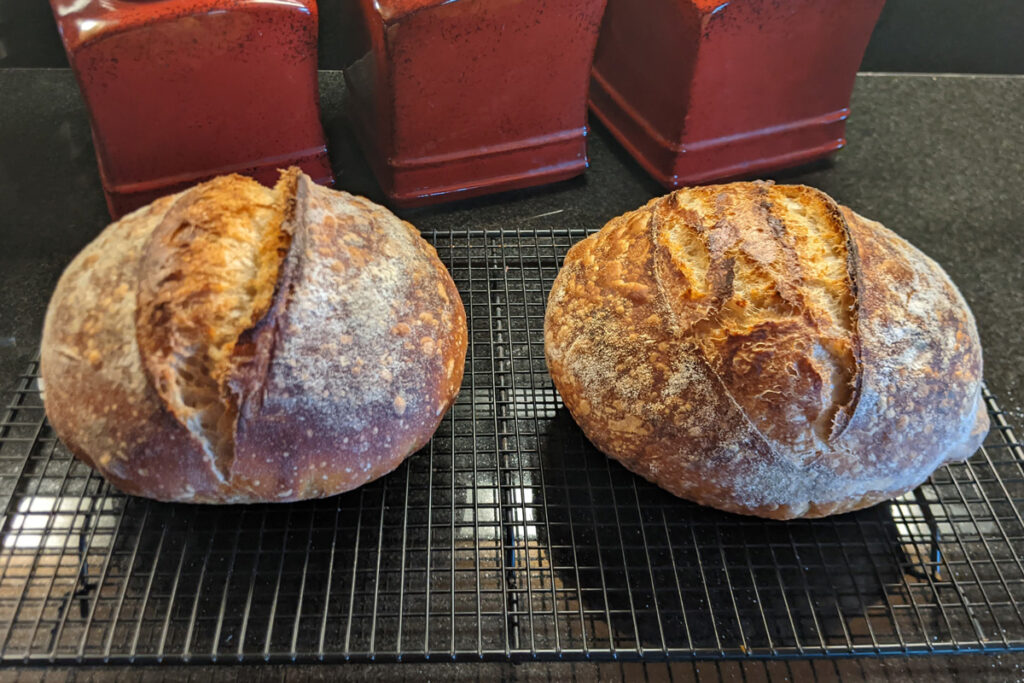 Two sourdough loaves of bread