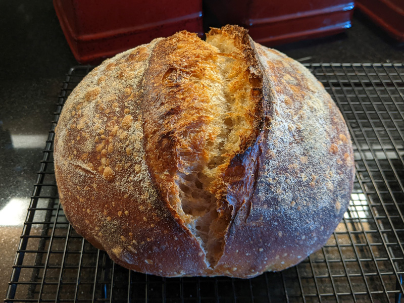 sourdough load at 84% hydration